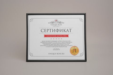 Сертификаты - «Light-digital»